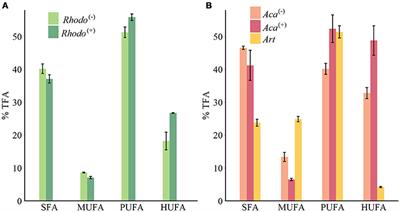 Tracking Fatty Acids From Phytoplankton to Jellyfish Polyps Under Different Stress Regimes: A Three Trophic Levels Experiment